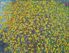 Forsythia; 2006; oil; 36